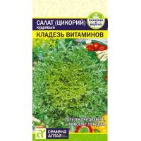 Семена Семена Алтая САЛАТ Эндивий Кладезь Витаминов, цв.пак, 0.5г