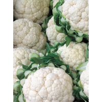 Семена АСТ Капуста цветная Коза Егоза 0,25г