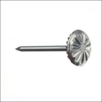 Гвозди мебельные 1,6-1,8*25 белые