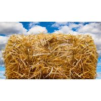 Солома 80*55*40 10кг тюк БИУД