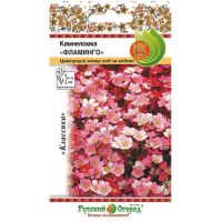 Семена РУССКИЙ ОГОРОД Камнеломка Фламинго 200шт