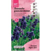 Семена АСТ Лаванда узколистная Лаванш Пурпл Дип 6шт
