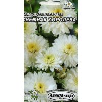 Семена Аэлита Календула Снежная королева 0,5г