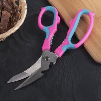 Ножницы кухонные  для мяса и рыбы 20см Доляна Краски 3945505