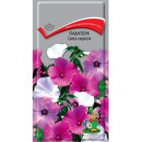 Семена Поиск Лаватера Смесь окрасок 0,5г
