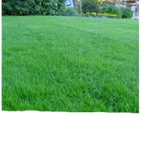 Газон смесь-Универсальная 1кг