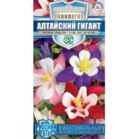 Семена Гавриш Аквилегия Алтайский гигант 0,05г смесь РБ