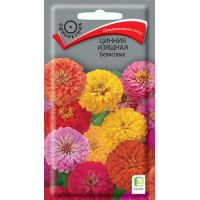Семена Поиск Цинния изящная Белиссимо 0,4г