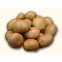 Картофель семенной ЖУКОВСКИЙ ранний 2 кг  115661