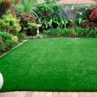 Газон смесь-Декоративный 1 кг