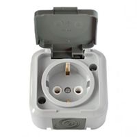 Розетка 1-м о/п IP54 серый Пралеска Аква РА16-297 (03)