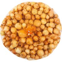 Лук-севок Штуттгартер крупный 21-24 0,5кг (Россия)