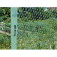 Сетка от птиц из полиэфира яч.8*8 мм,3*5 м зеленая