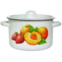 Кастрюля 3,0л с рисунком  01-1612/4М