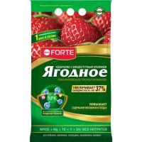 BForte Ягодное пролонгированное 2,5кг