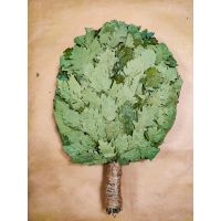 Веник дубовый КАВКАЗСКИЙ