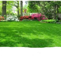 Газон смесь-Теневыносливая 1кг