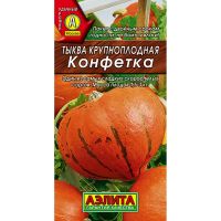 Семена АЭЛИТА Тыква крупноплодная Конфетка 2г