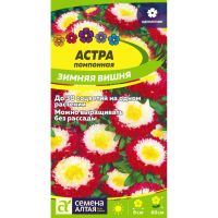 Семена Алтая Астра помпонная Зимняя вишня 0,2г