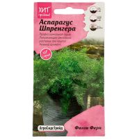 Семена АСТ Аспарагус Шпренгера Фаззи Ферн 5шт