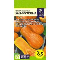 Семена Семена Алтая тыква Жемчужина Мускатная,  1г