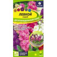 Семена Алтая Левкой седой Десятинедельный гном 0,1г