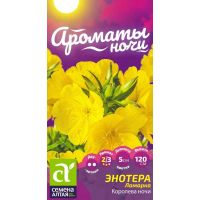 Семена Алтая Энотера Ламарка Королева ночи 0,1г