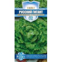 Семена Гавриш САЛАТ Русский Гигант РБ  1134-1