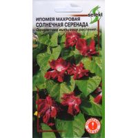 Семена Дом Семян Ипомея махровая Солнечная Серенада 11шт