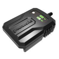 Зарядное устройство Greenworks G24UC2 24V 2А