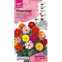 Семена АСТ Георгина Бронзовая смесь 0,1г