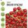 Семена Гавриш Томат Вишня красная (черри) 0,05г Семена Гавриш Томат Вишня красная (черри) 0,05г