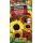 Семена Аэлита Подсолнечник декоративный Янтарная россыпь 0,5г смесь сортов