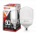 Лампа LED HP-PRO 50Вт Е27 6500K 4500Лм с адаптером Е40 IN HOME 1125