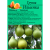 Груша в ассортименте 2 летка ЗКС, изображение 11