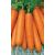 Семена АСТ Морковь Несравненная 2г