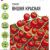 Семена Гавриш Томат Вишня красная (черри) 0,05г