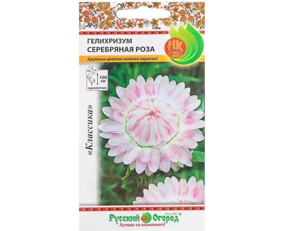Семена Русский Огород Гелихризум Серебряная роза 0,1г