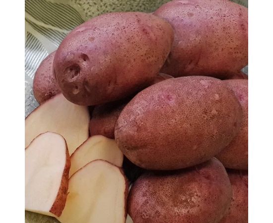 Картофель семенной ЛЮБАВА 2 кг РОССИЯ