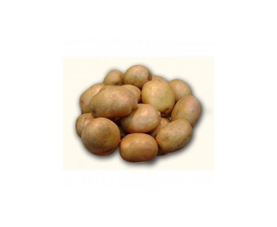 Картофель семенной ЖУКОВСКИЙ ранний 2 кг  115661