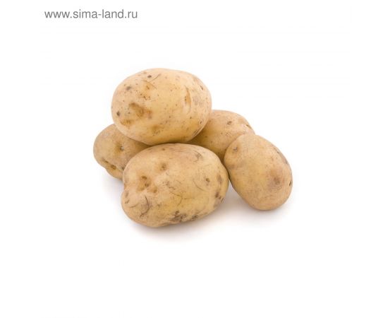 Картофель семенной УДАЧА 2кг 115660
