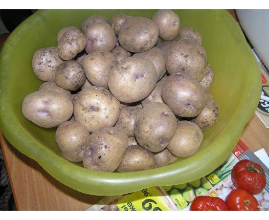 Картофель семенной СИНЕГЛАЗКА 2 кг