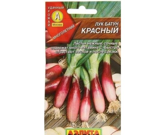 Семена Аэлита Лук батун Красный 0,3г