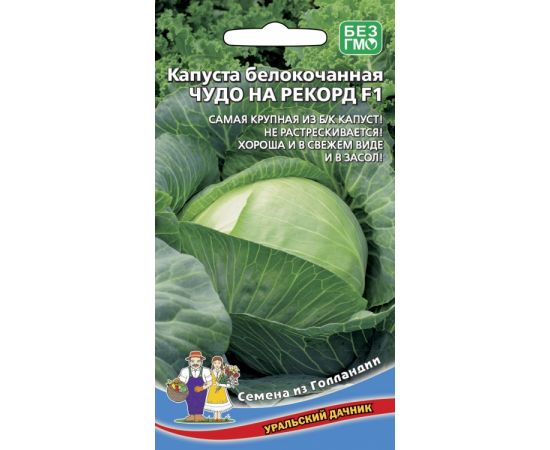 Семена Уральский Дачник Капуста б/к Чудо на рекорд F1 0,3г