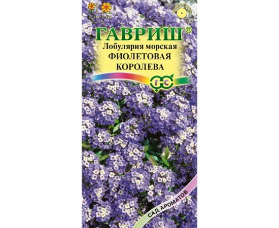 Семена Гавриш Лобулярия морская (алиссум) Фиолетовая королева 0,2г