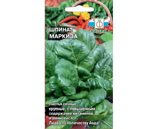 Семена Седек ШПИНАТ Маркиза 2г