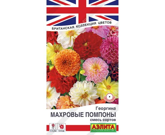 Семена АЭЛИТА Георгина Махровые помпоны 0,2г