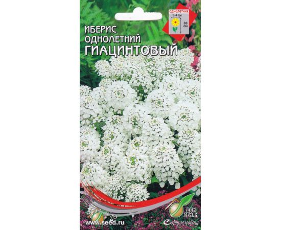 Семена Дом Семян ИБЕРИС Гиацинтовый 30шт