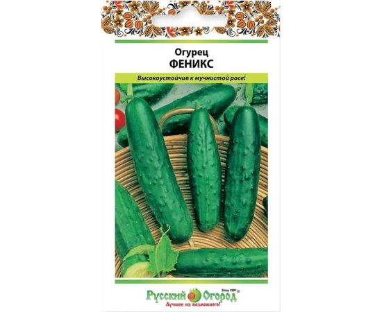 Семена РУССКИЙ ОГОРОД Огурец Феникс 0,5г