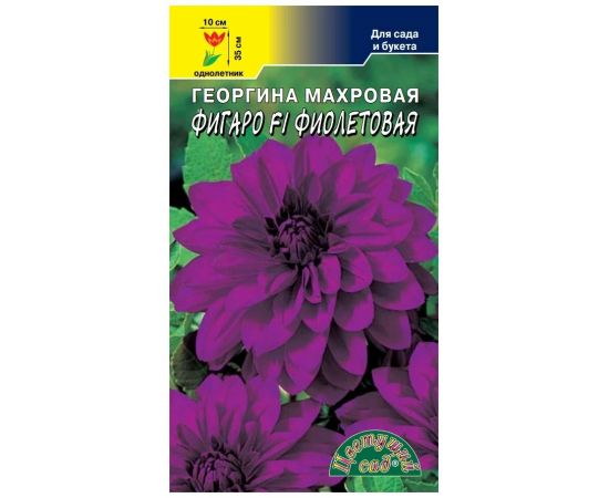 Семена ЦВЕТУЩИЙ САД Георгина ФИГАРО F1 фиолетовая 0,05г